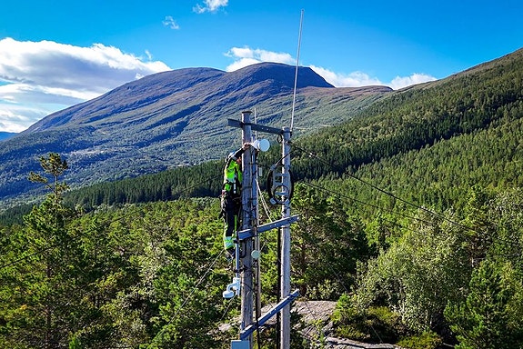 Bilde 1 av 1 i jobbannonse-galleriet