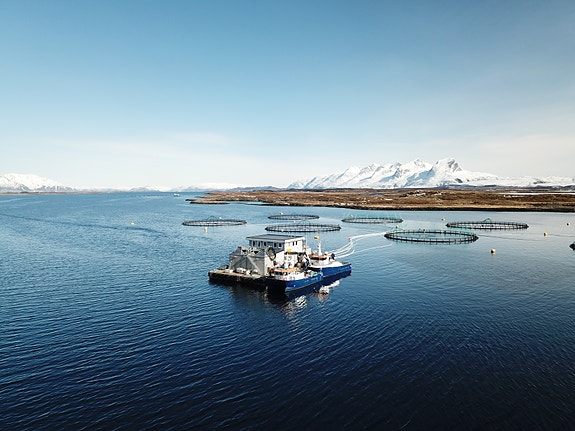 Bilde 1 av 1 i jobbannonse-galleriet