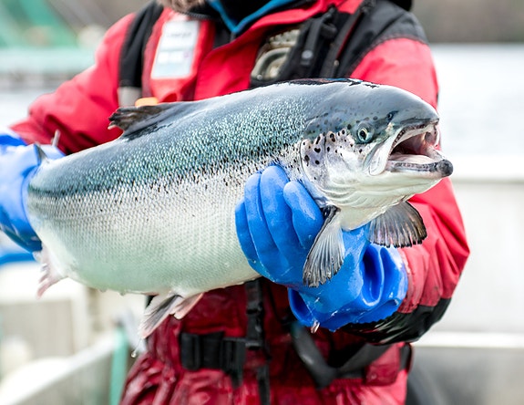 Bilde 5 av 8 i jobbannonse-galleriet