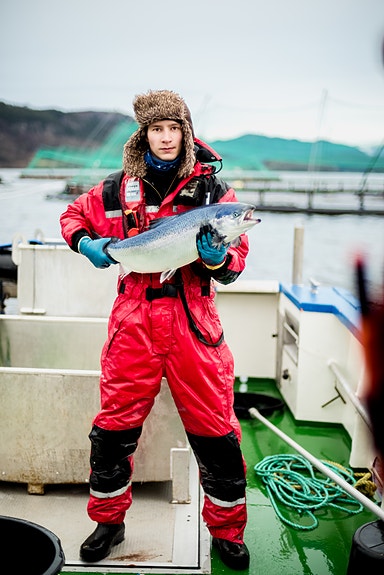 Bilde 6 av 8 i jobbannonse-galleriet