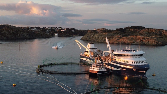 Bilde 2 av 8 i jobbannonse-galleriet