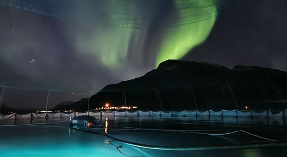 Bilde 1 av 5 i jobbannonse-galleriet