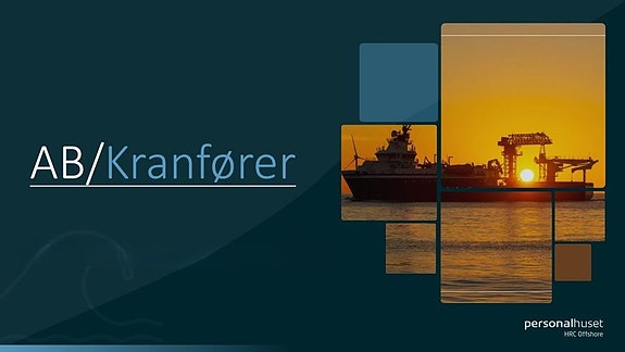 Bilde 1 av 1 i jobbannonse-galleriet