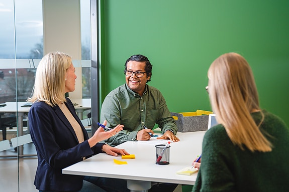 Bilde 1 av 1 i jobbannonse-galleriet