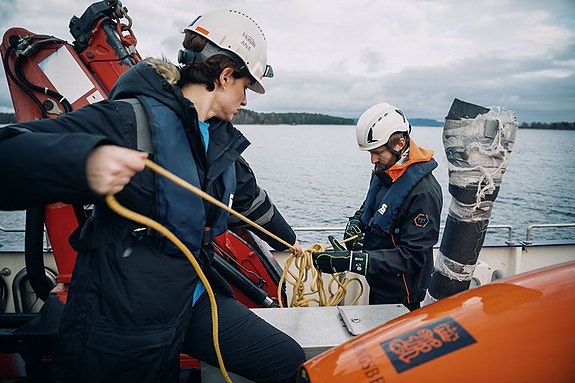 Bilde 7 av 10 i jobbannonse-galleriet