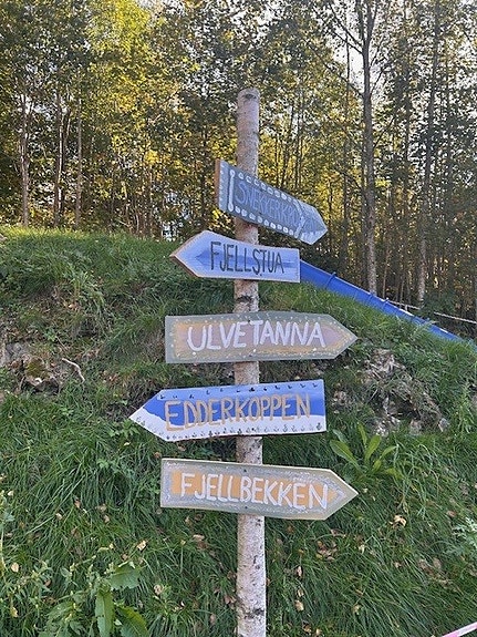 Fjelltema