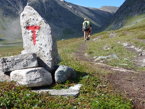 Trondhjems Turistforening logo