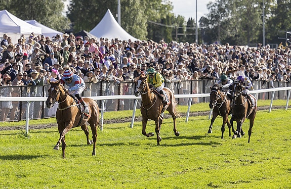 Bilde 2 av 8 i jobbannonse-galleriet