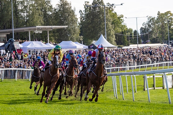 Bilde 1 av 8 i jobbannonse-galleriet