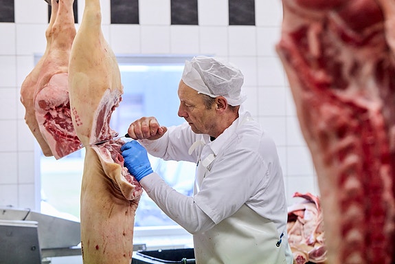 Bilde 2 av 5 i jobbannonse-galleriet