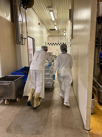 Bilde 3 av 5 i jobbannonse-galleriet