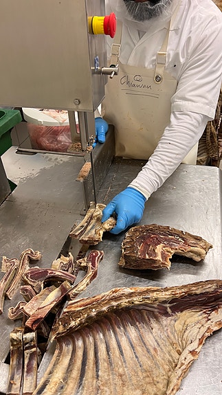 Bilde 5 av 5 i jobbannonse-galleriet