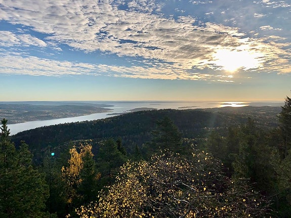 Bilde 3 av 6 i jobbannonse-galleriet