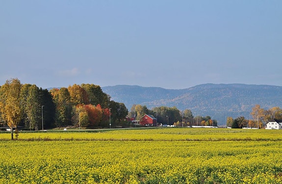 Bilde 5 av 6 i jobbannonse-galleriet