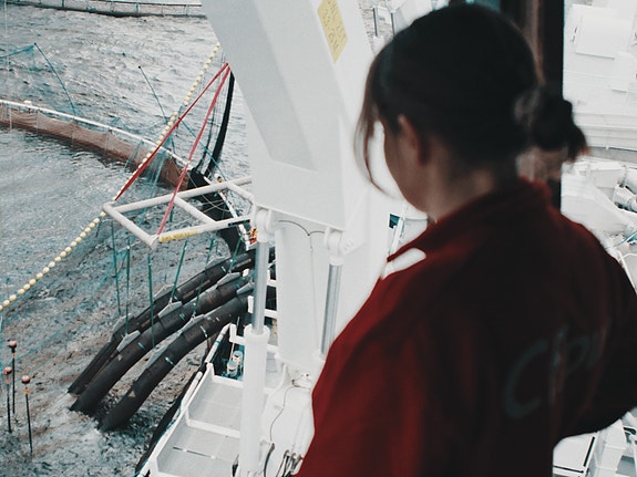 Bilde 2 av 3 i jobbannonse-galleriet