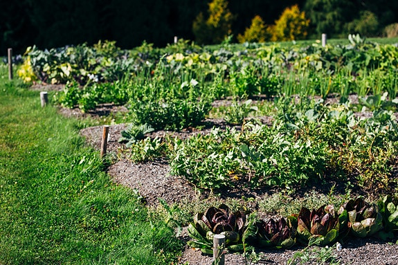 Bilde 2 av 7 i jobbannonse-galleriet