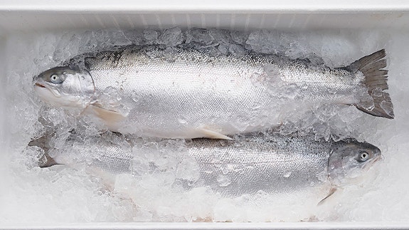 Bilde 3 av 7 i jobbannonse-galleriet