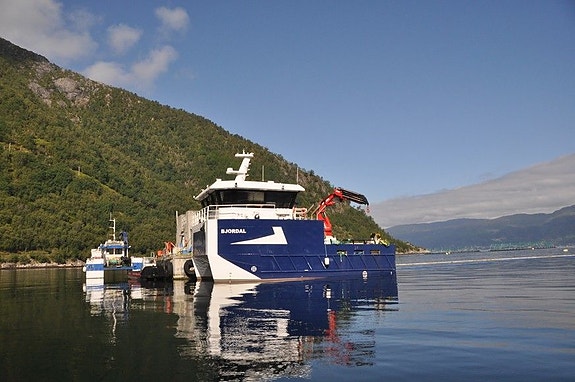 Bilde 7 av 7 i jobbannonse-galleriet