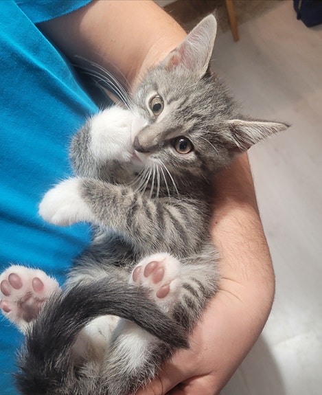 Product image 4 of 10