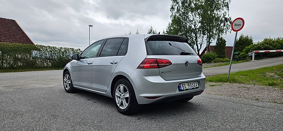 Volkswagen e-Golf VII 5 of 5