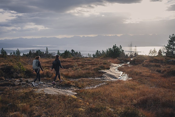 Bilde 1 av 7 i jobbannonse-galleriet