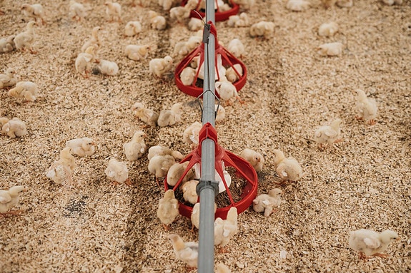 Bilde 4 av 4 i jobbannonse-galleriet