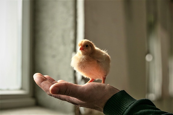 Bilde 3 av 4 i jobbannonse-galleriet