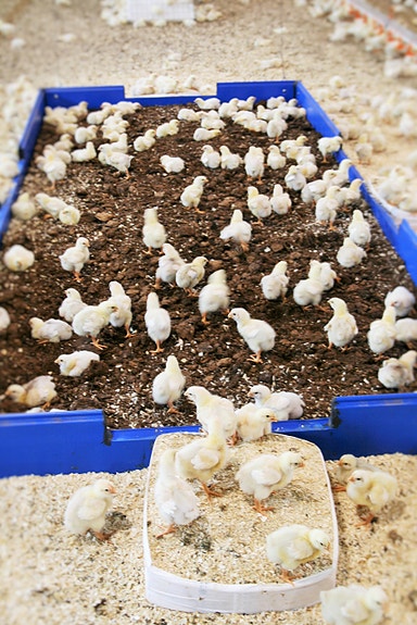 Bilde 2 av 4 i jobbannonse-galleriet