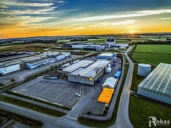 Bilde 1 av 4 i jobbannonse-galleriet