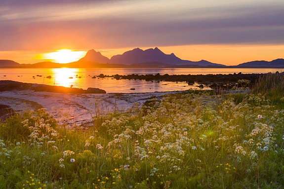 Bilde 2 av 2 i jobbannonse-galleriet