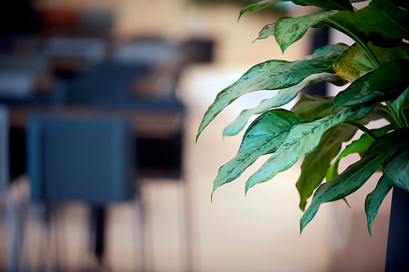 Bilde 3 av 3 i jobbannonse-galleriet