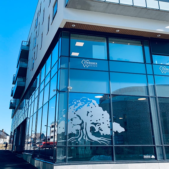 Bilde 1 av 4 i jobbannonse-galleriet