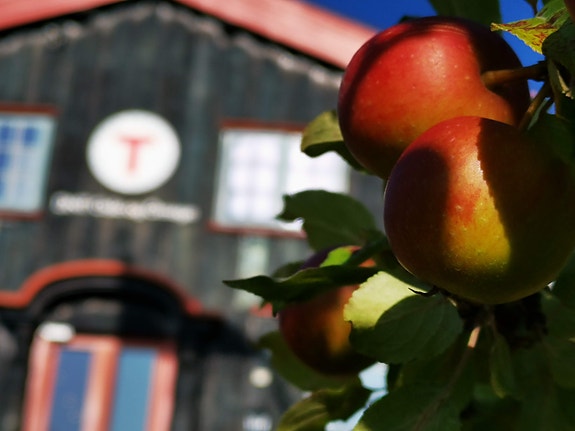 Bilde 4 av 6 i jobbannonse-galleriet