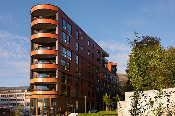 Bilde 2 av 5 i jobbannonse-galleriet