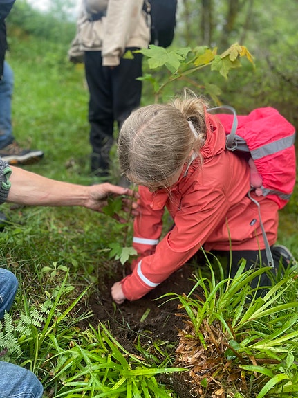 Bilde 2 av 6 i jobbannonse-galleriet