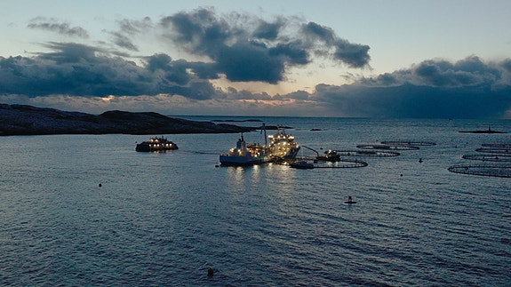 Bilde 5 av 9 i jobbannonse-galleriet