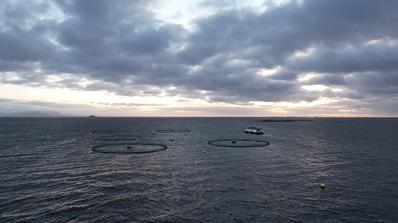 Bilde 2 av 9 i jobbannonse-galleriet