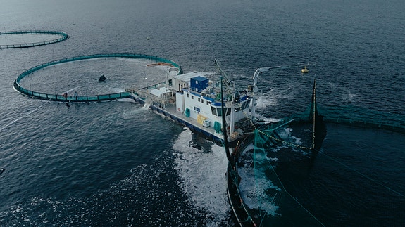 Bilde 7 av 9 i jobbannonse-galleriet