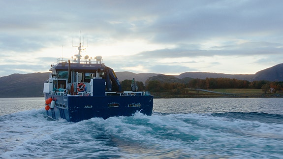 Bilde 9 av 9 i jobbannonse-galleriet