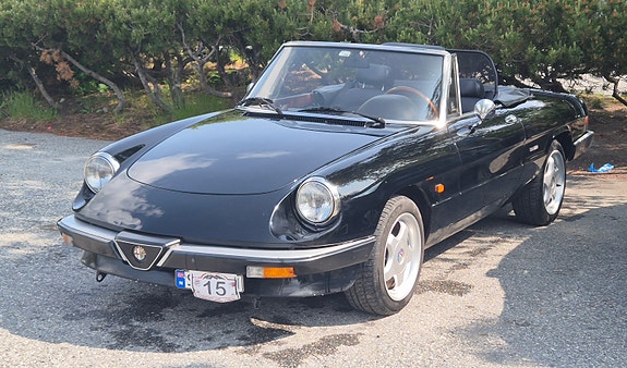 Alfa Romeo Spider 3 of 5