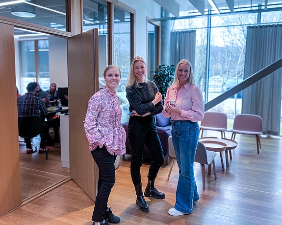 Bilde 3 av 3 i jobbannonse-galleriet