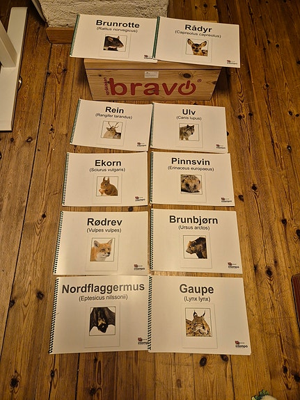 Product image 4 of 5