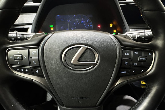 Lexus UX300e