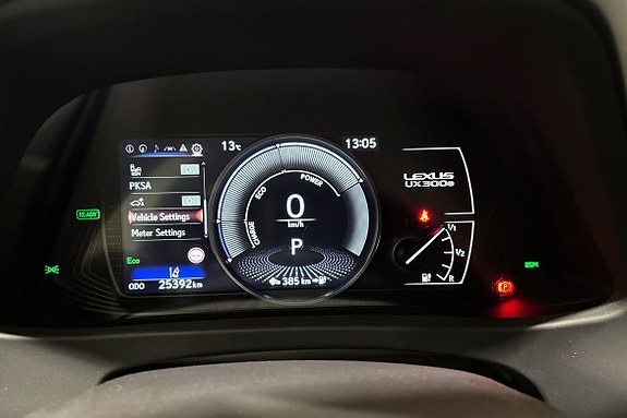 Lexus UX300e