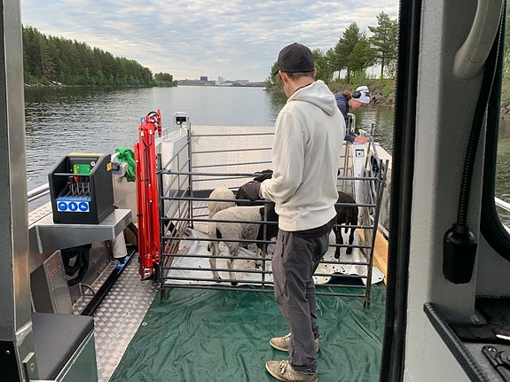 MS Boat CWA 800 WT 21 of 23