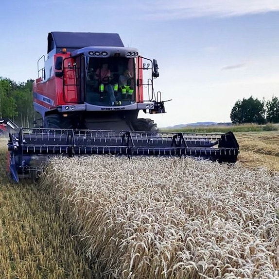 Bilde 3 av 4 i jobbannonse-galleriet