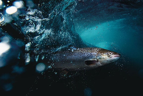 Bilde 7 av 7 i jobbannonse-galleriet