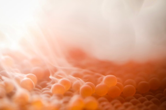 Bilde 4 av 7 i jobbannonse-galleriet