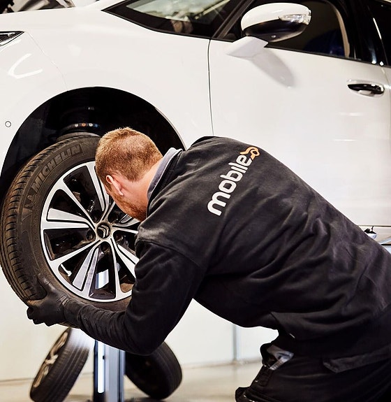 Bilde 1 av 2 i jobbannonse-galleriet