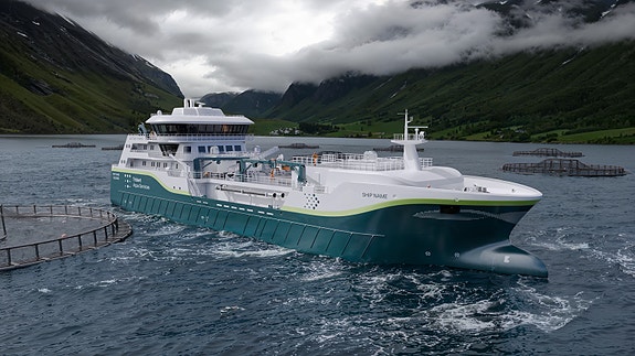 Bilde 1 av 1 i jobbannonse-galleriet